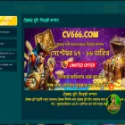 cv666.net