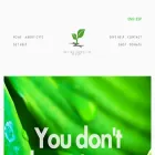 cvtcnyc.org