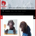 czerwonypiesek.pl