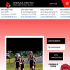 dacscardinals.com