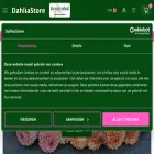dahliastore.com
