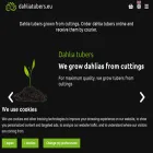 dahliatubers.eu