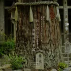 daihizan.jp