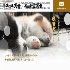 daikantou-kensha.jp