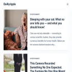 daillyripple.com
