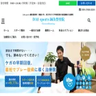 daisports.com
