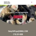 daisyhillbernedoodles.com