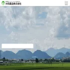 daiwa-yakuhin.com