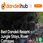 dandelihub.com