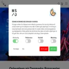 danmarksborgcenter.dk