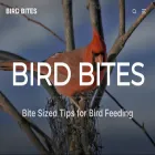 dansbirdbites.com