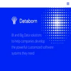 databorn.ai