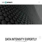 dataintensity.com