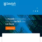 datasoft.com.co