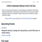 datavizny.com