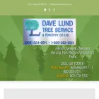 davelundtreeservice.com