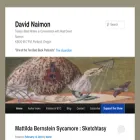 davidnaimon.com
