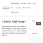 daysingarden.com