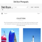 debbryce.com