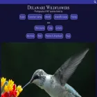 delawarewildflowers.org