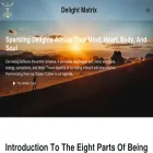 delightmatrix.com