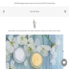 deluxeuryspa.com