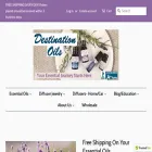 destinationoils.com