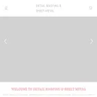 detailroofingcompany.com