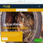 detektoremas.com