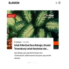 dev.blankonlinux.or.id