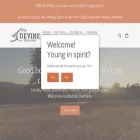 devinedistillery.com