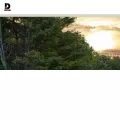 dewsonconstruction.com