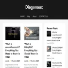 diagonaux.com