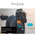 diana-george.co.uk