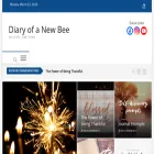 diaryofanewbee.com