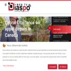 diaspo-interaction.com