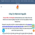 dichvulohoinan.com