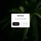 dieseldispensary.com