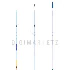 digimarketz.com