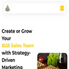 digitalsandwich.agency