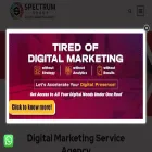 digitalspectrumgroup.com