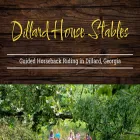dillardhousestables.com