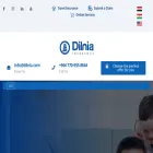 dilnia.com