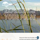 discoveravondale.com