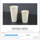 disposableamerica.org