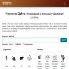 disprot.org