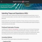 dissertations.wsu.edu