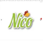 distribuidoranico.cl