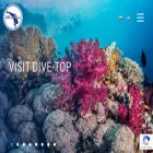 dive-top.com