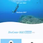 divecenterokky.com